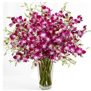 Giftnmore-20 Purple Orchids Bunch in Vase
