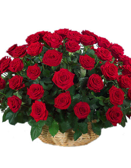 Giftnmore-50 Red Roses Round Bucket