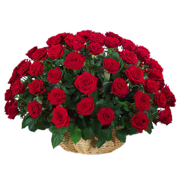 Giftnmore-50 Red Roses Round Bucket