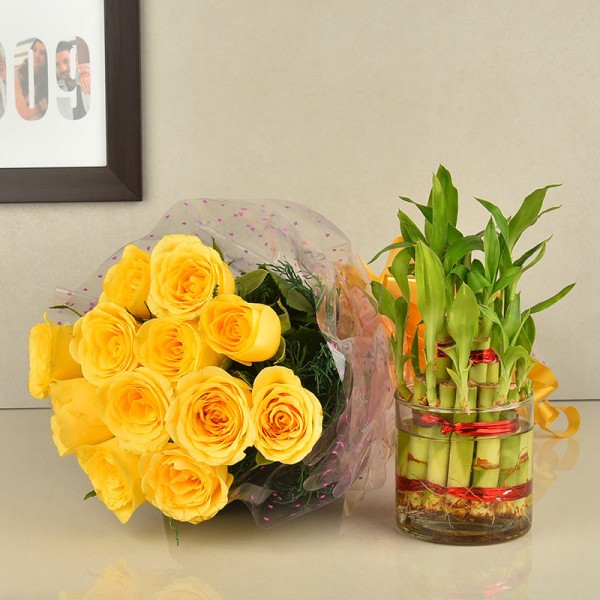 Giftnmore-12 Yellow Roses Bunch and 2 Layer Bamboo Plant