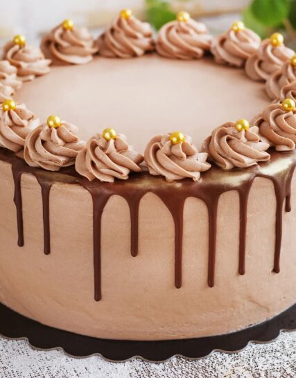 Giftnmore-Chocolate Fudge Cake