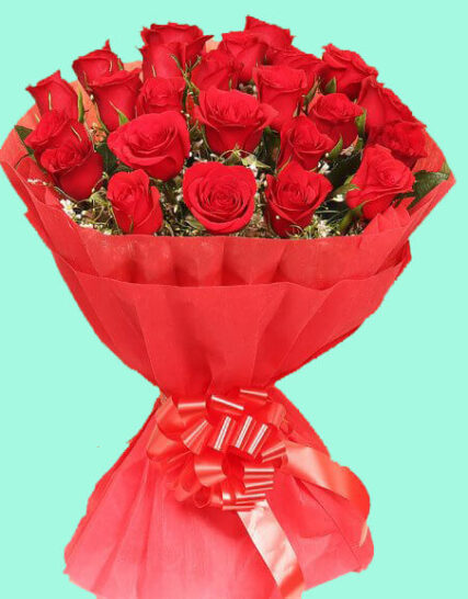 Giftnmore-25 red roses buckey