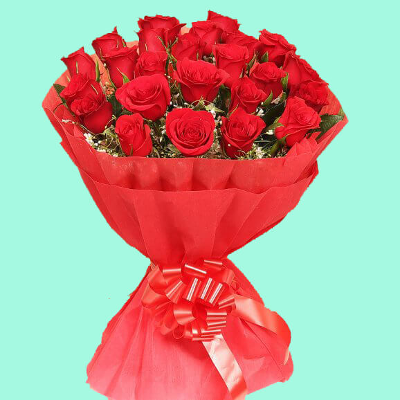 Giftnmore-25 red roses buckey
