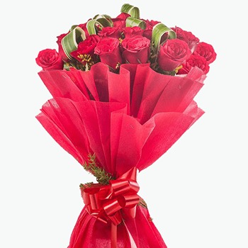 Giftnmore-PLEASING 25 RED ROSES