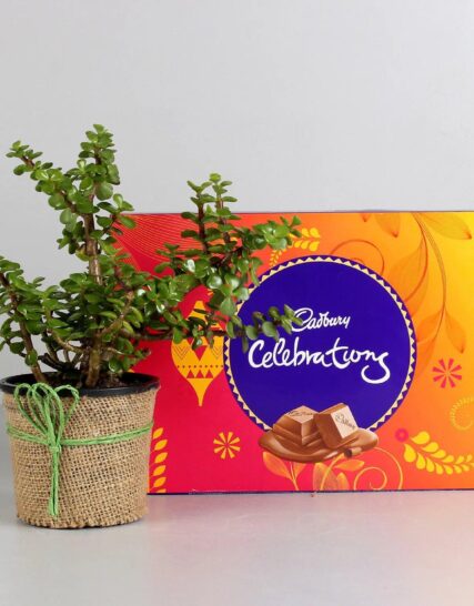 Buy Cadbury Celebrations Premium Selections Chocolate Gift Pack Online at  Best Price of Rs 124.99 - bigbasket