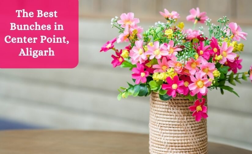 The Best Bunches in Center Point, Aligarh