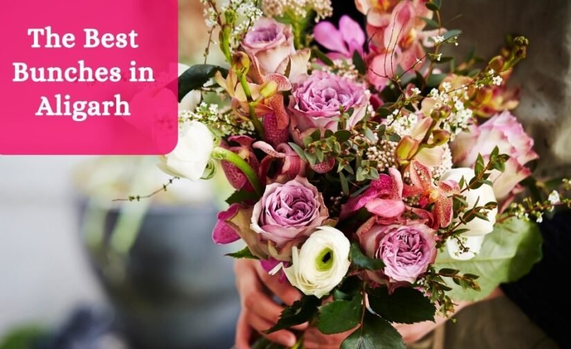 The Best Bunches in Aligarh