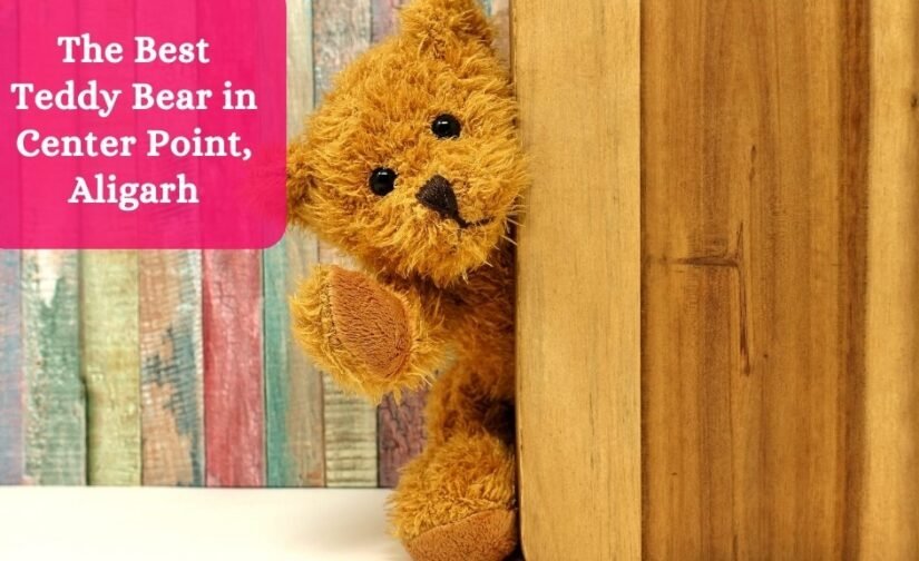 The Best Teddy Bear in Center Point, Aligarh