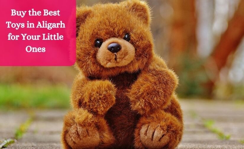 Buy the Best Toys in Aligarh for Your Little Ones