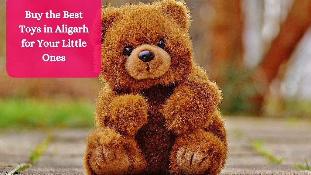Gift n More - Blog - Buy the Best Toys in Aligarh for Your Little Ones