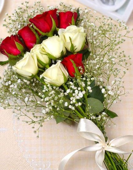 10 Red and White Roses with Jigsaw flowers