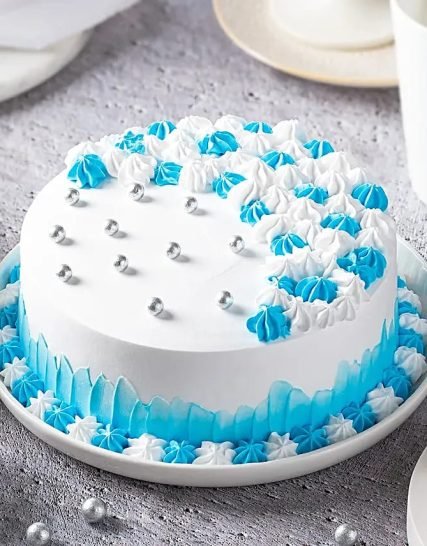 Chocolate White and Blue Cake with Sprinkles and Cream Frosting